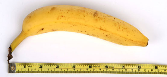 best_phone_sex_niteflirt_bananacock