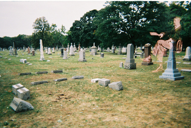 Image Source: Flickr.com | User: Fuzzy (Fuzzy Gerdes)